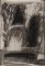 Arbol